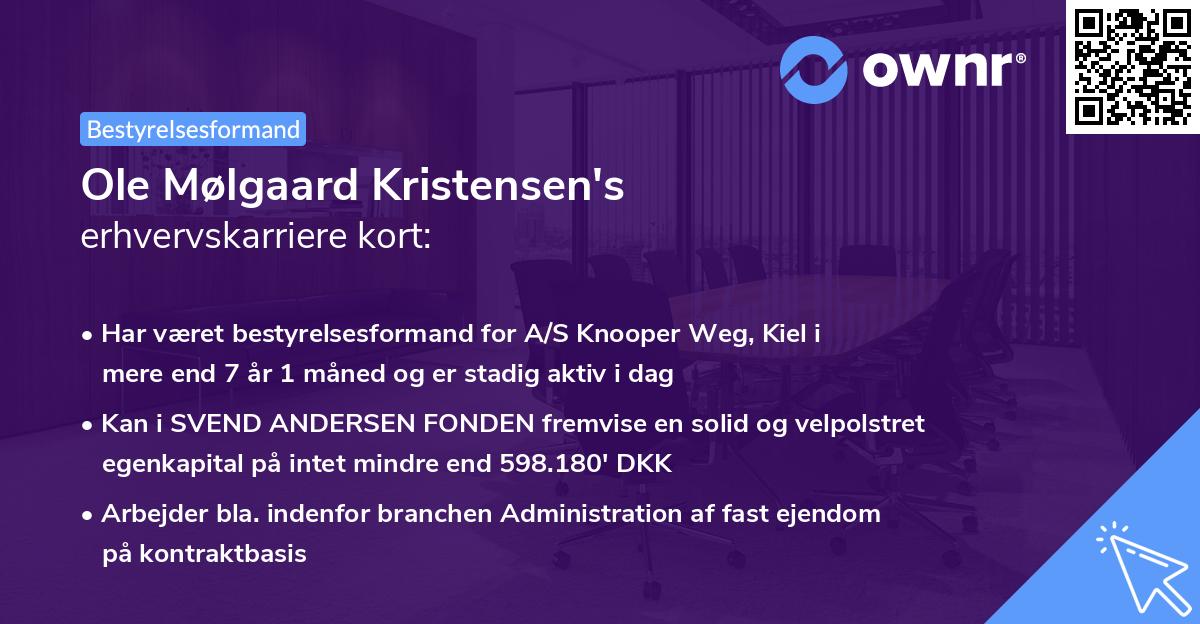 Ole Mølgaard Kristensen's erhvervskarriere kort