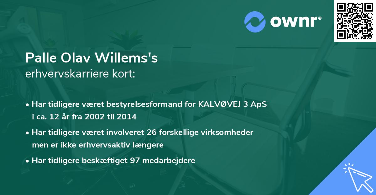 Palle Olav Willems's erhvervskarriere kort