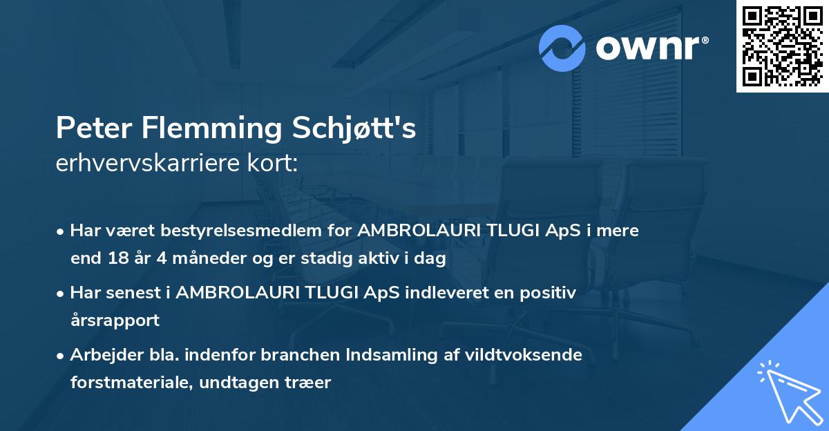 Peter Flemming Schjøtt's erhvervskarriere kort