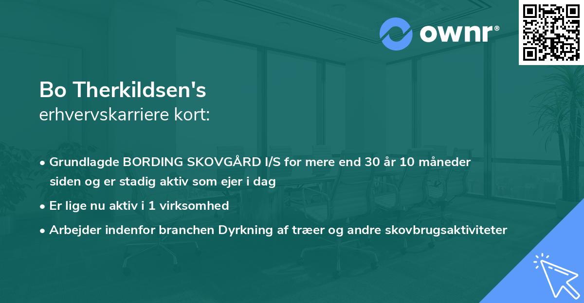 Bo Therkildsen's erhvervskarriere kort