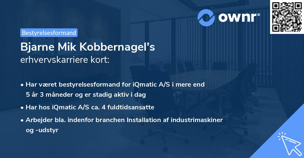 Bjarne Mik Kobbernagel's erhvervskarriere kort