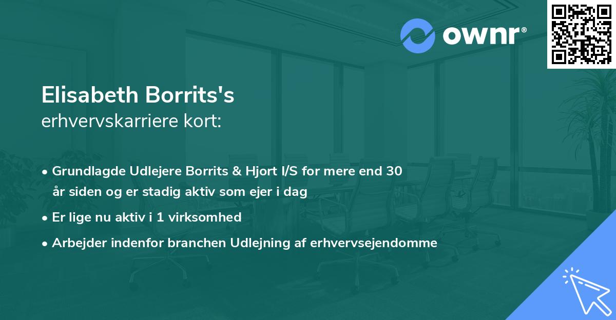 Elisabeth Borrits's erhvervskarriere kort