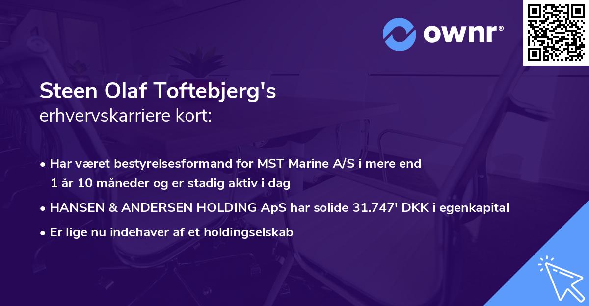 Steen Olaf Toftebjerg's erhvervskarriere kort