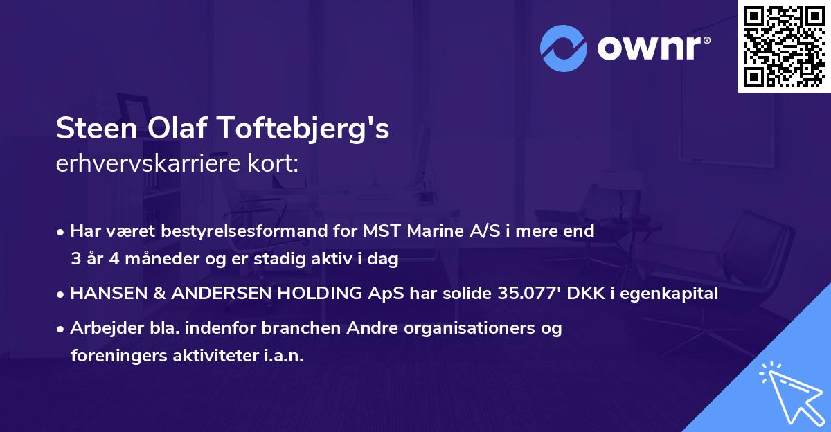 Steen Olaf Toftebjerg's erhvervskarriere kort