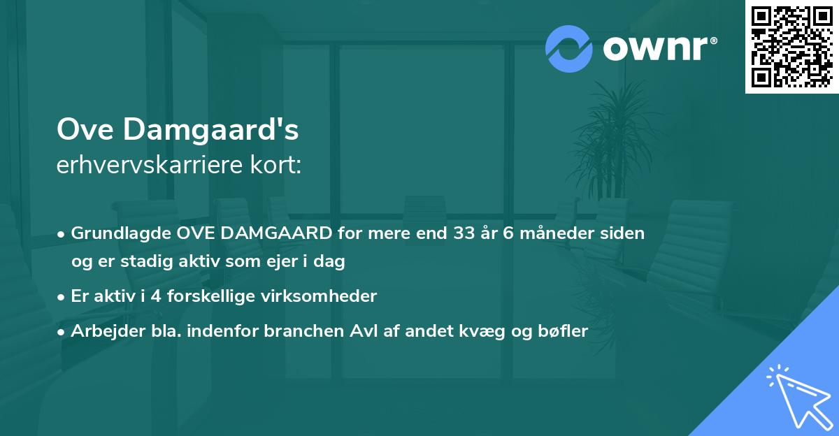 Ove Damgaard's erhvervskarriere kort