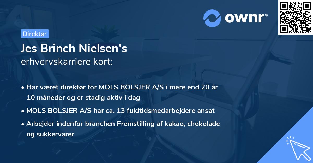 Jes Brinch Nielsen's erhvervskarriere kort