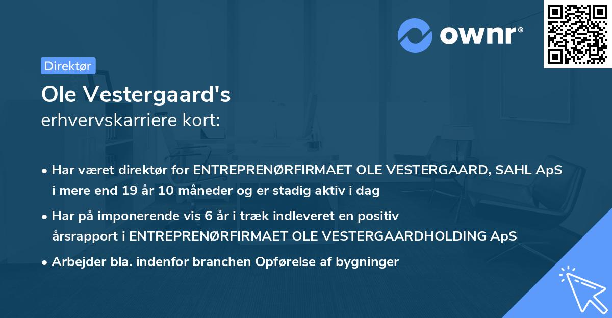 Ole Vestergaard's erhvervskarriere kort