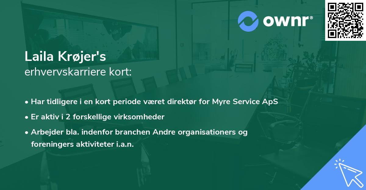 Laila Krøjer's erhvervskarriere kort