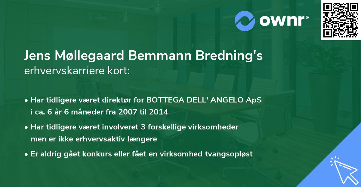 Jens Møllegaard Bemmann Bredning's erhvervskarriere kort