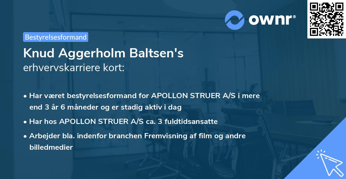 Knud Aggerholm Baltsen's erhvervskarriere kort