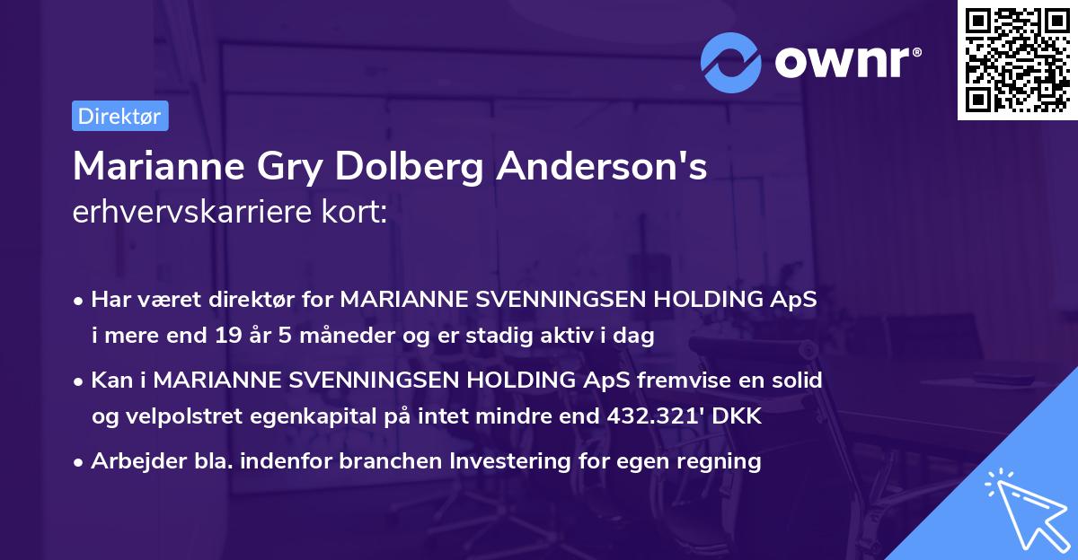 Marianne Gry Dolberg Anderson's erhvervskarriere kort