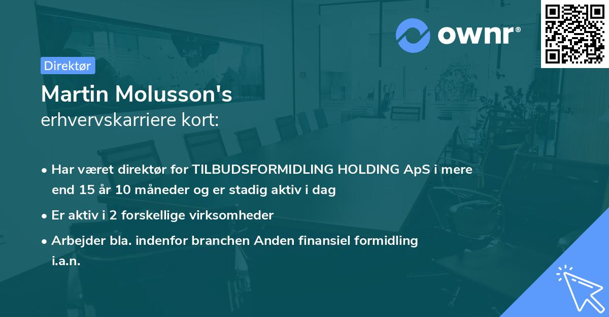 Martin Molusson's erhvervskarriere kort