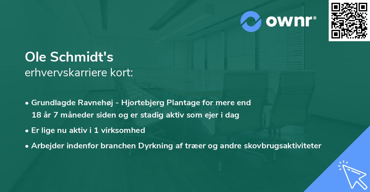 Ole Schmidt's erhvervskarriere kort