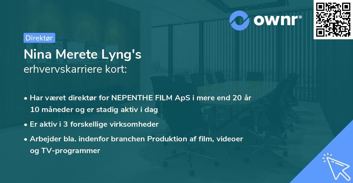 Nina Merete Lyng's erhvervskarriere kort