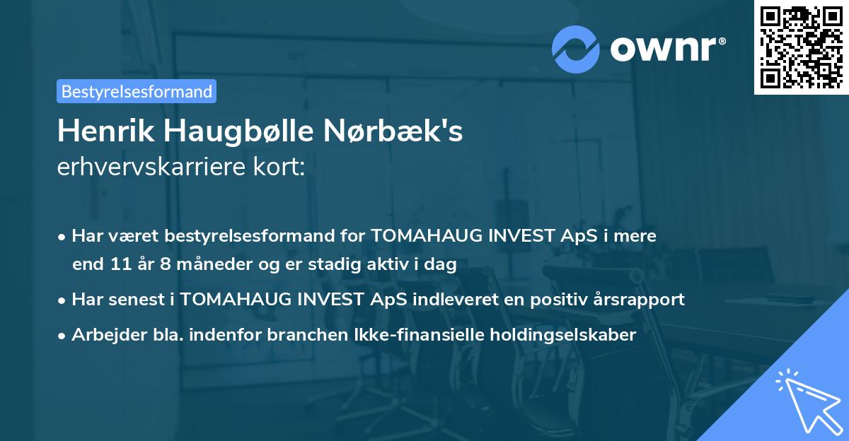 Henrik Haugbølle Nørbæk's erhvervskarriere kort