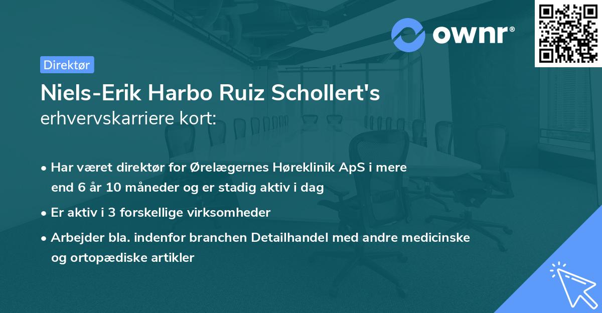 Niels-Erik Harbo Ruiz Schollert's erhvervskarriere kort
