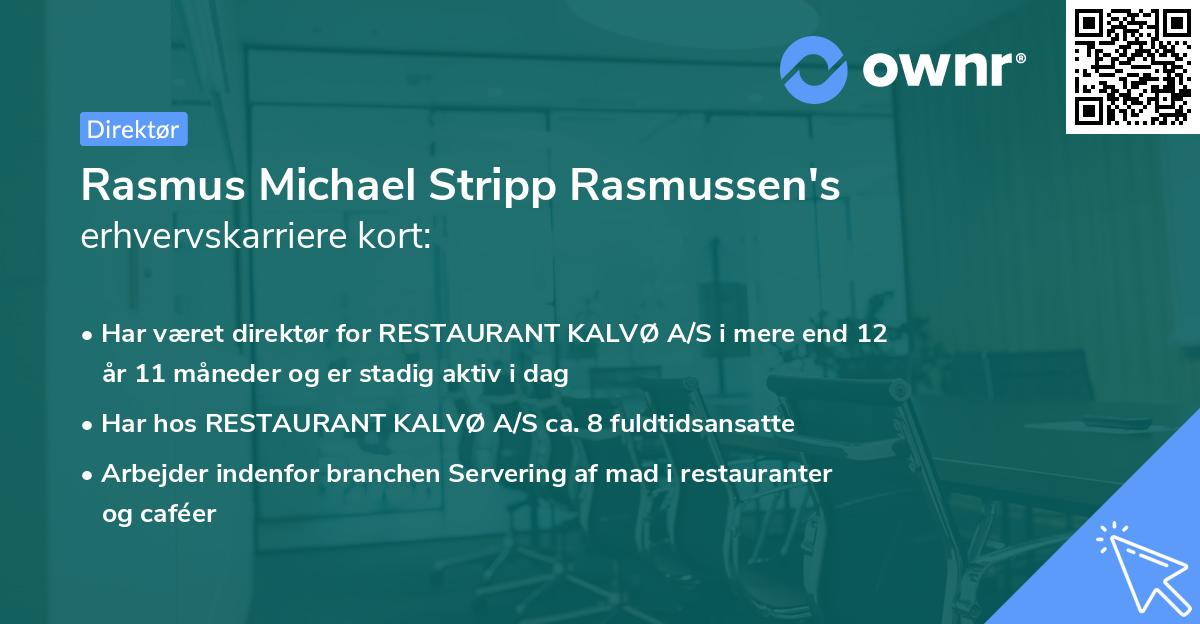 Rasmus Michael Stripp Rasmussen's erhvervskarriere kort