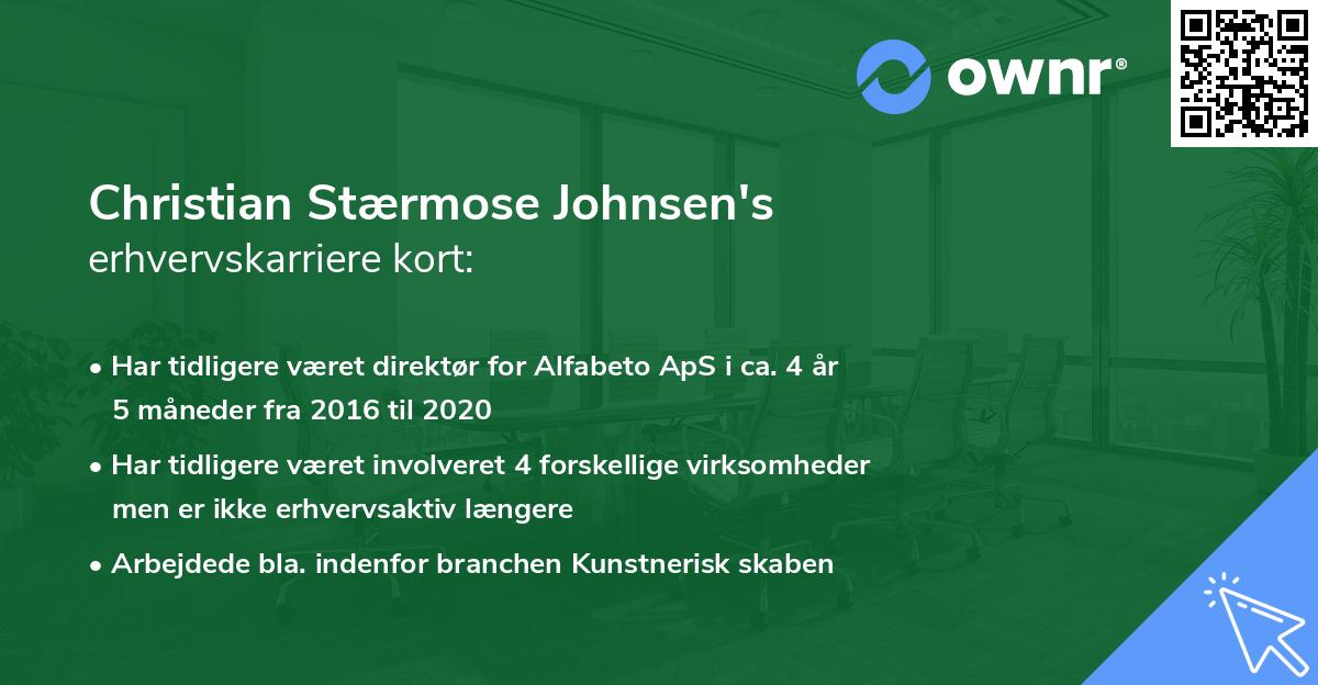 Christian Stærmose Johnsen's erhvervskarriere kort