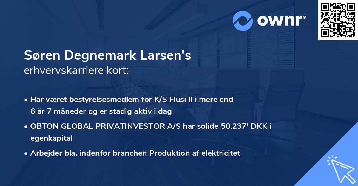 Søren Degnemark Larsen's erhvervskarriere kort