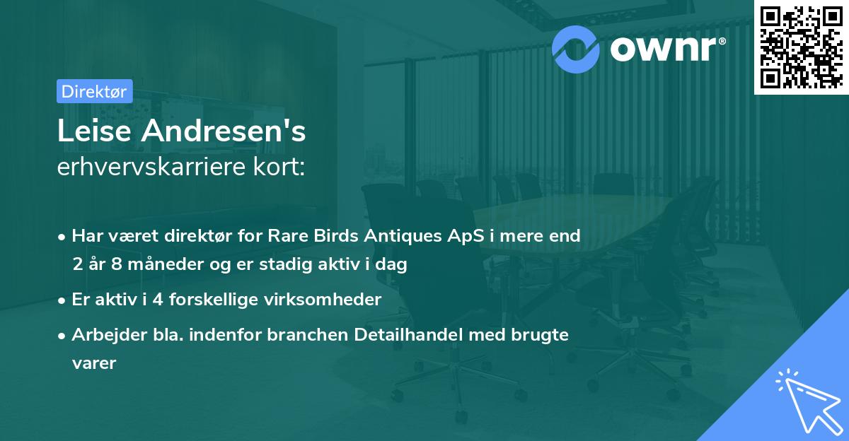 Leise Andresen's erhvervskarriere kort