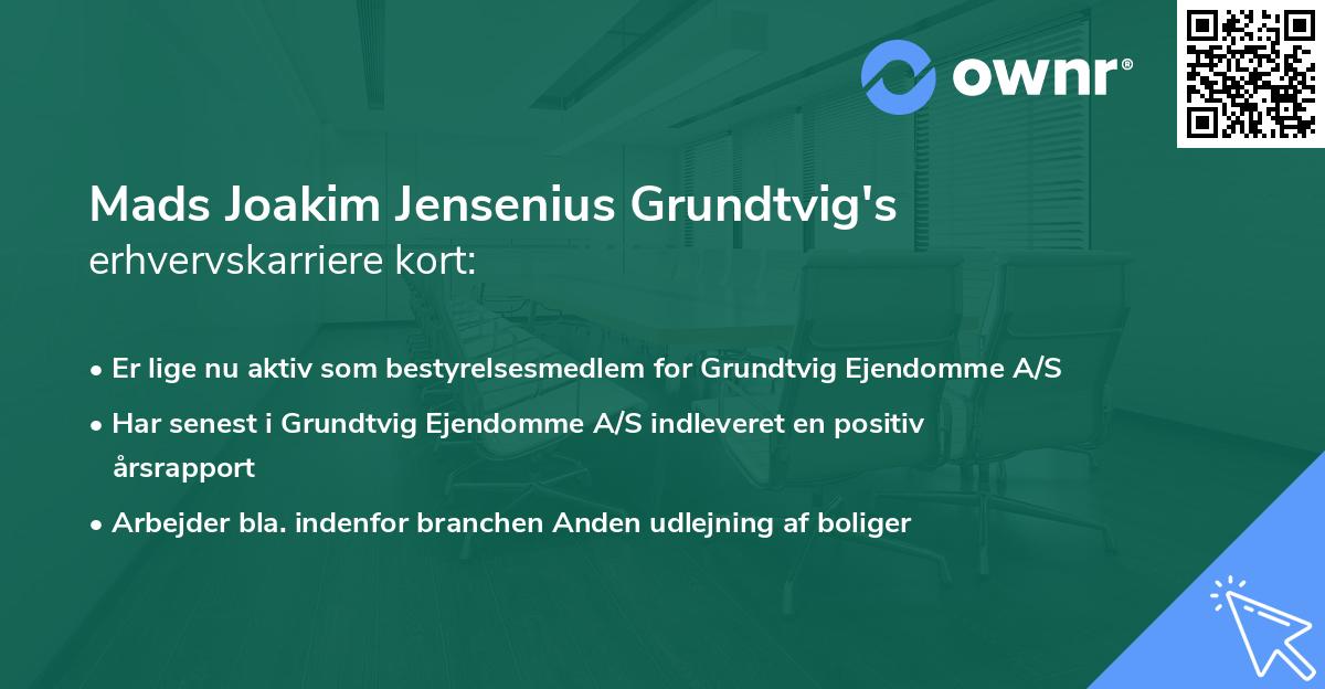 Mads Joakim Jensenius Grundtvig's erhvervskarriere kort