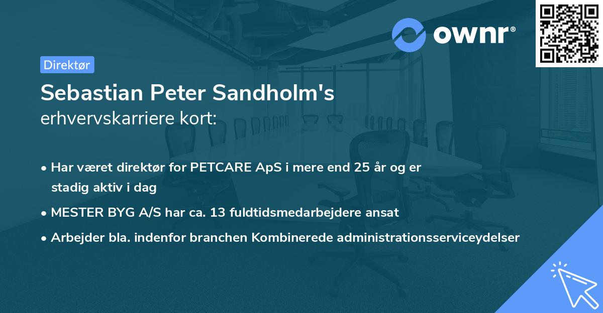 Sebastian Peter Sandholm's erhvervskarriere kort