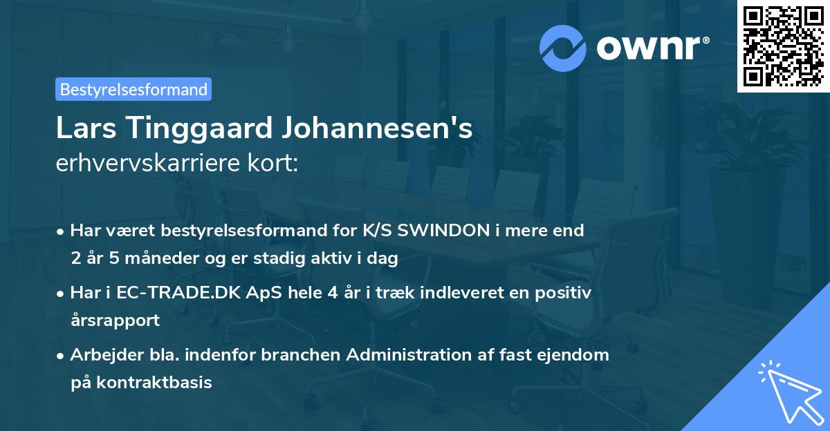 Lars Tinggaard Johannesen's erhvervskarriere kort