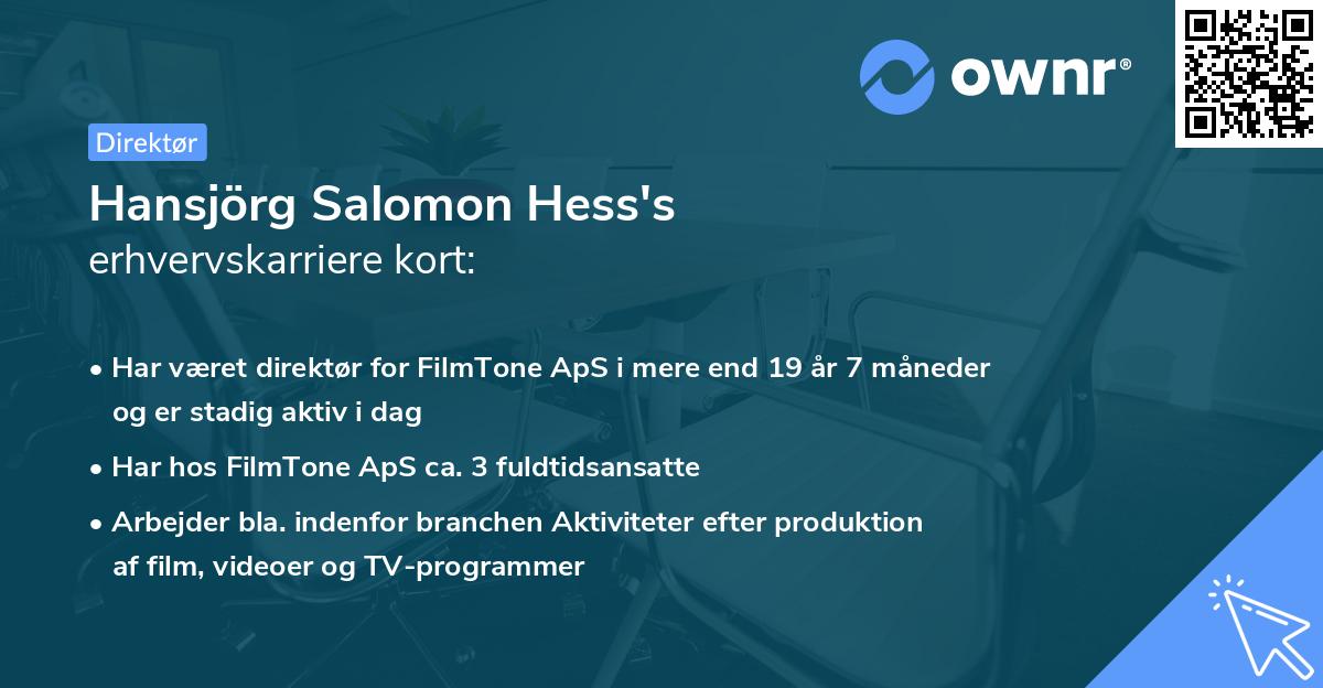 Hansjörg Salomon Hess's erhvervskarriere kort
