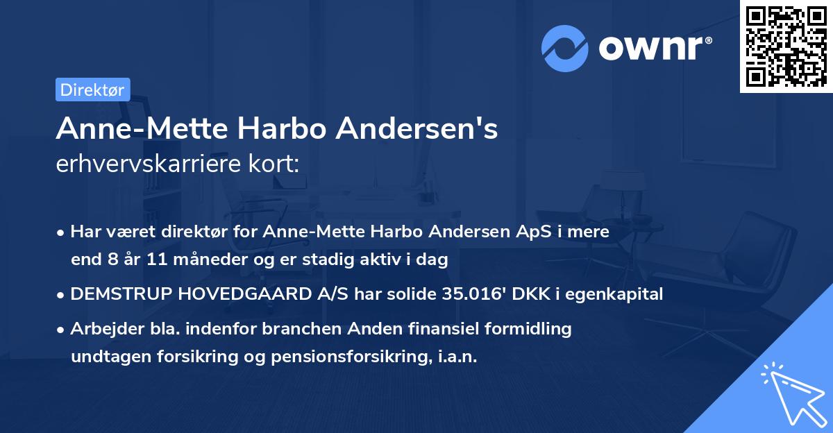 Anne-Mette Harbo Andersen's erhvervskarriere kort