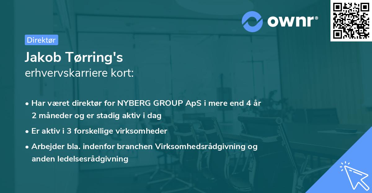 Jakob Tørring's erhvervskarriere kort