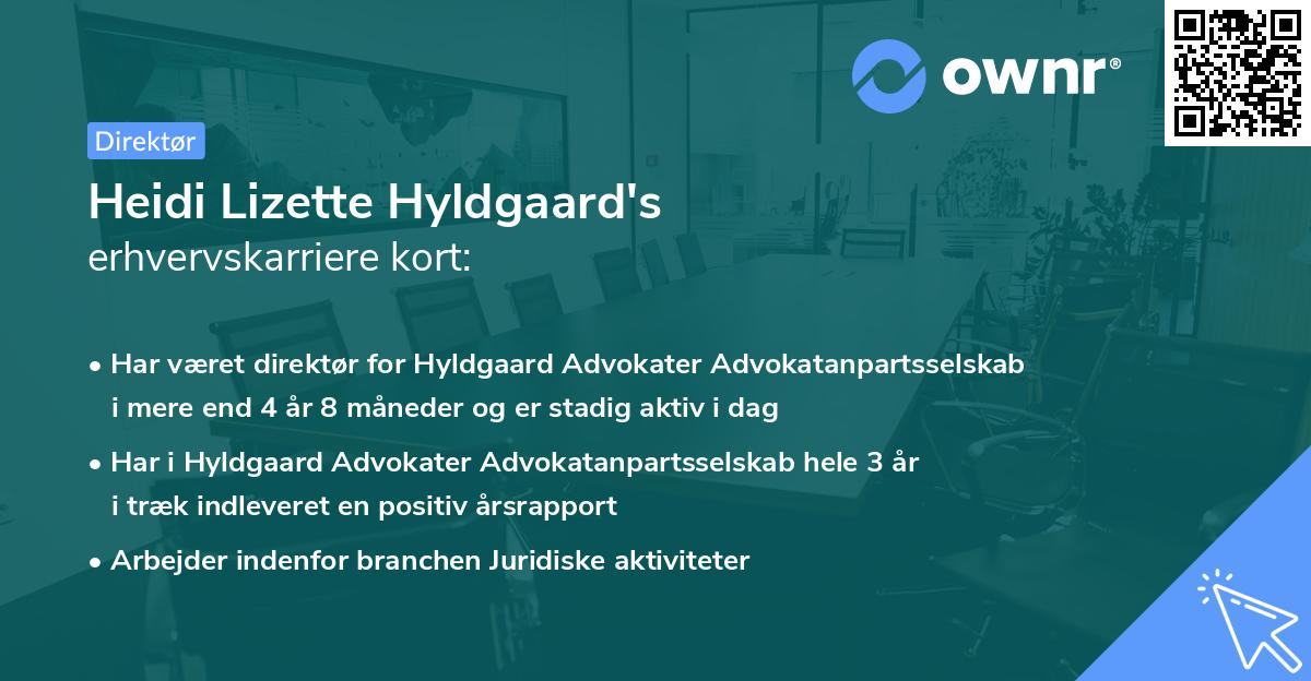 Heidi Lizette Hyldgaard's erhvervskarriere kort