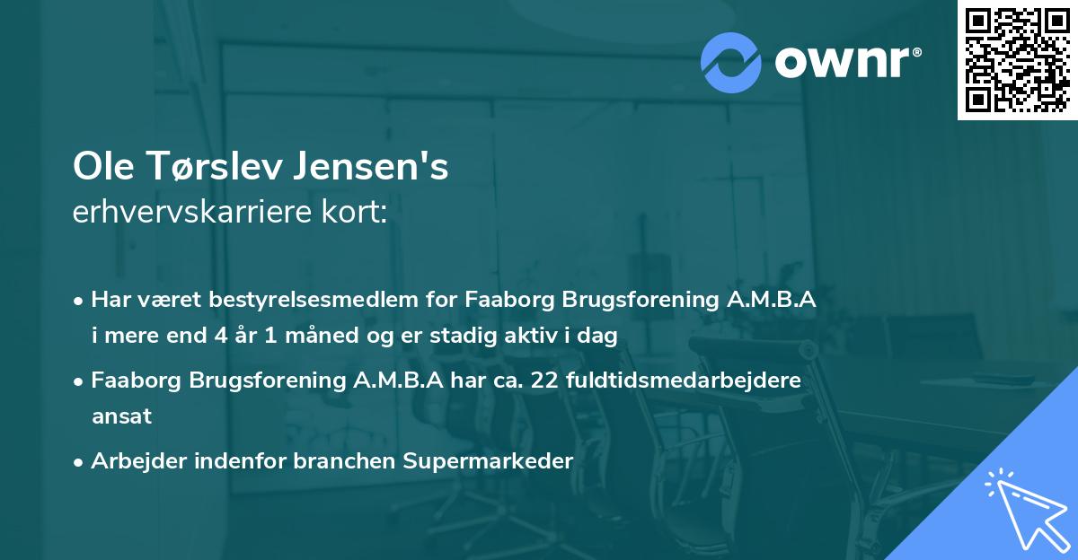 Ole Tørslev Jensen's erhvervskarriere kort