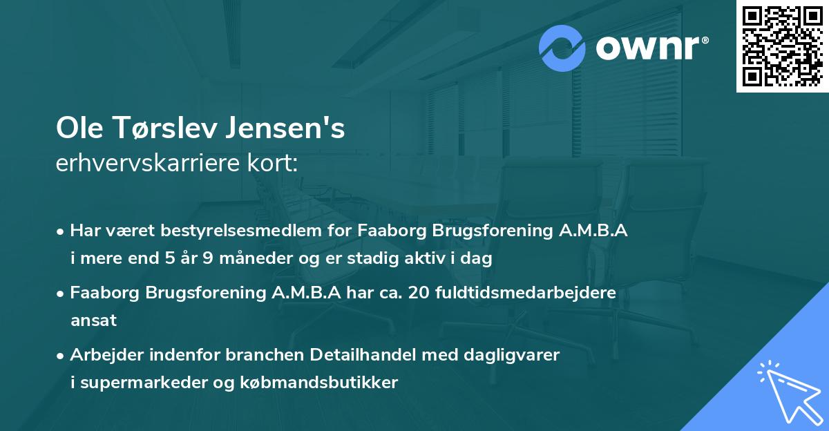 Ole Tørslev Jensen's erhvervskarriere kort