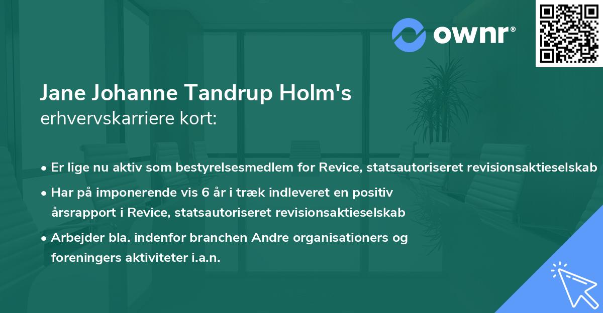 Jane Johanne Tandrup Holm's erhvervskarriere kort
