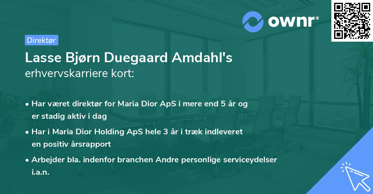 Lasse Bjørn Duegaard Amdahl's erhvervskarriere kort