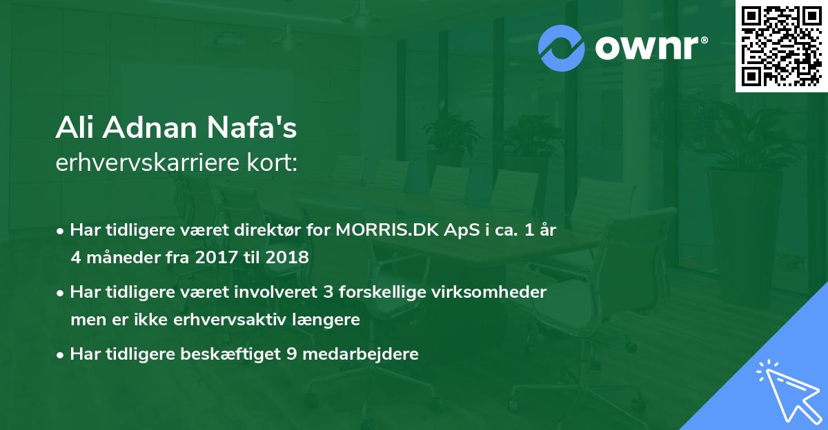 Ali Adnan Nafa's erhvervskarriere kort
