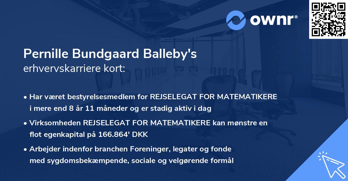 Pernille Bundgaard Balleby's erhvervskarriere kort