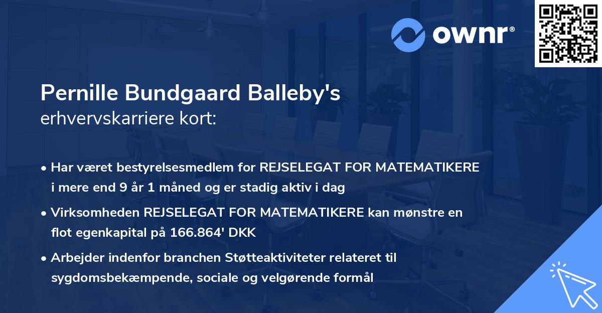 Pernille Bundgaard Balleby's erhvervskarriere kort