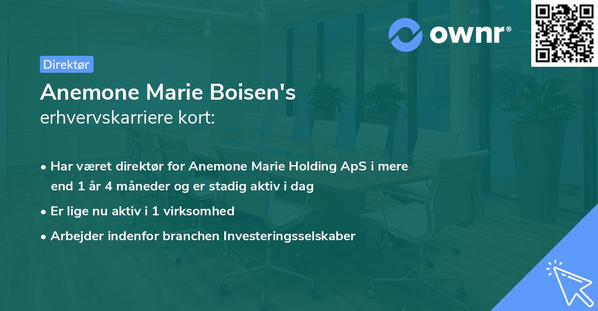 Anemone Marie Boisen's erhvervskarriere kort