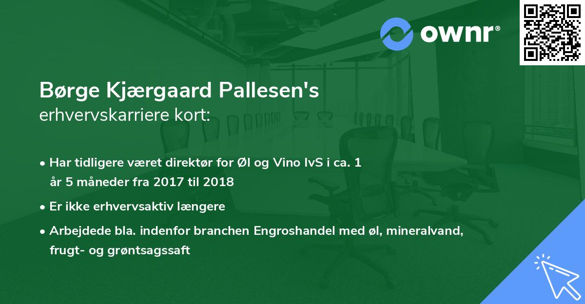 Børge Kjærgaard Pallesen's erhvervskarriere kort