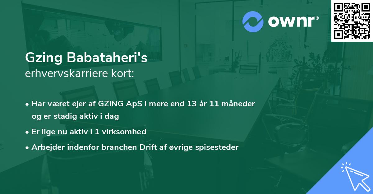 Gzing Babataheri's erhvervskarriere kort