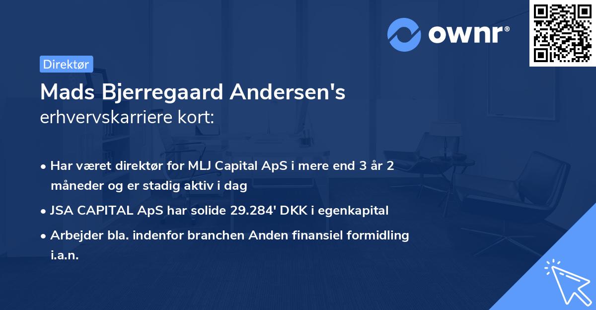 Mads Bjerregaard Andersen's erhvervskarriere kort