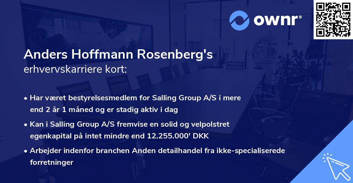 Anders Hoffmann Rosenberg's erhvervskarriere kort