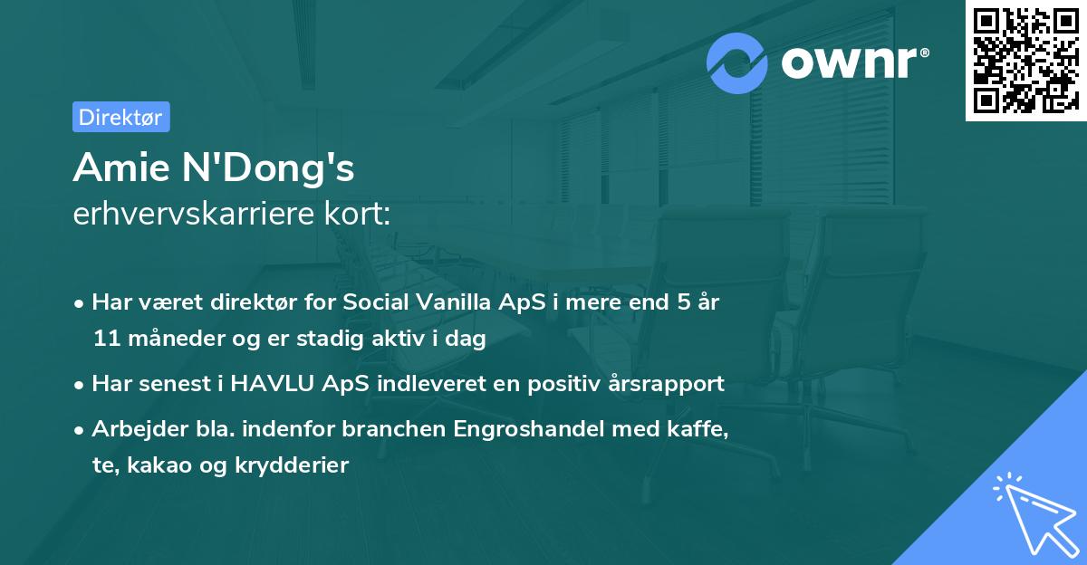 Amie N'Dong's erhvervskarriere kort