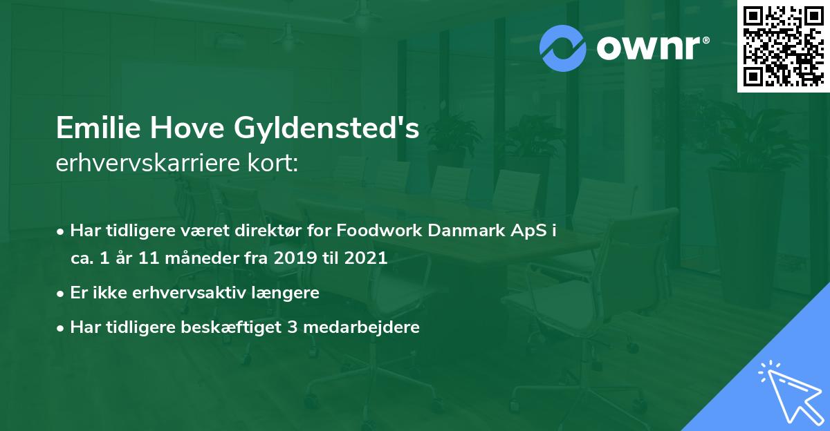 Emilie Hove Gyldensted's erhvervskarriere kort