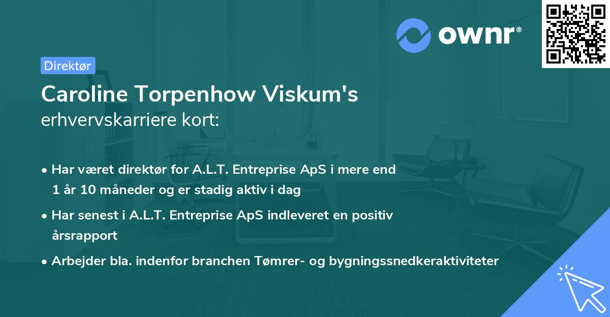 Caroline Torpenhow Viskum's erhvervskarriere kort