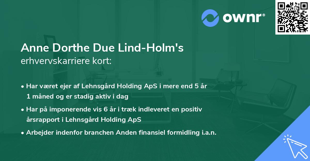 Anne Dorthe Due Lind-Holm's erhvervskarriere kort