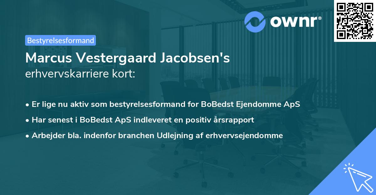 Marcus Vestergaard Jacobsen's erhvervskarriere kort