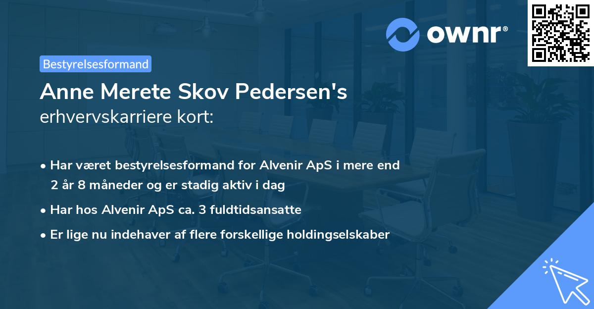 Anne Merete Skov Pedersen's erhvervskarriere kort