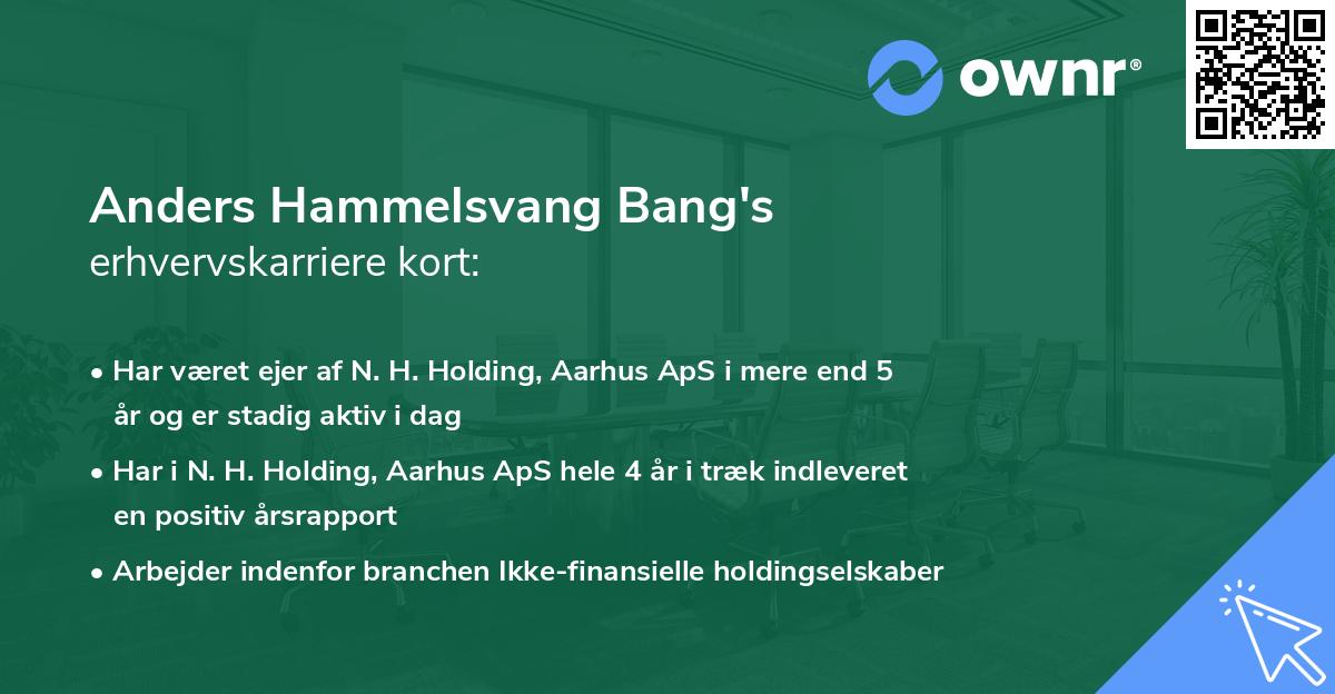 Anders Hammelsvang Bang's erhvervskarriere kort